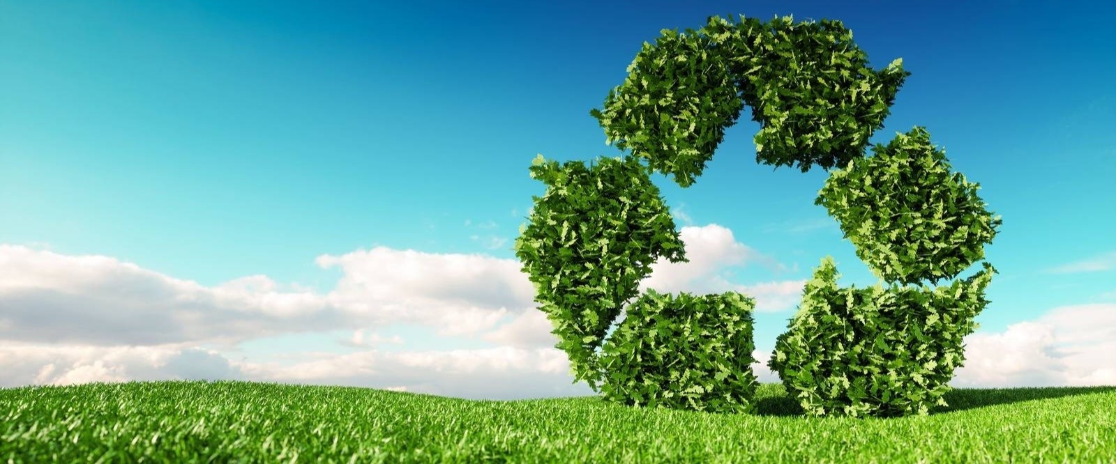 Un gestionnaire de parc machine de lavage prés de Lyon et sa région